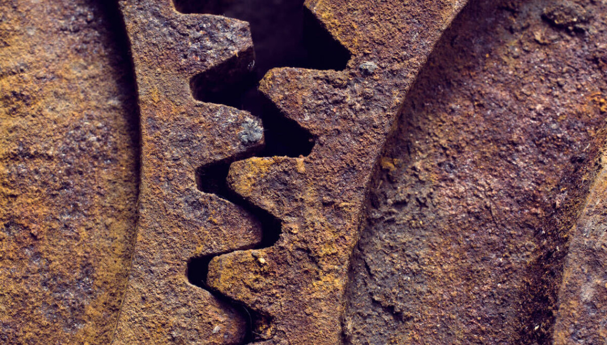 State of Rust survey 2024: most Rust developers worry about the future ...
