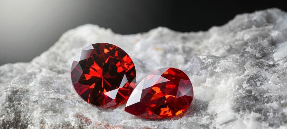 Greptile 精准分析