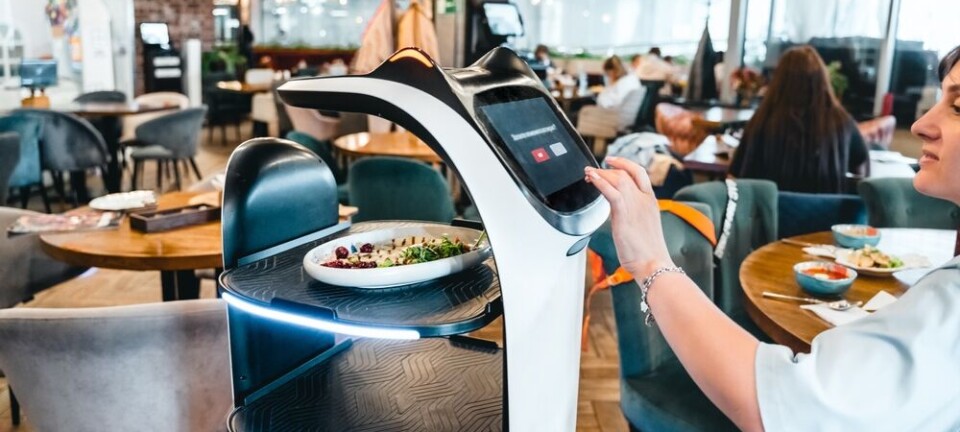 Robot waiter delivering a plate of food to a diner in a modern restaurant.